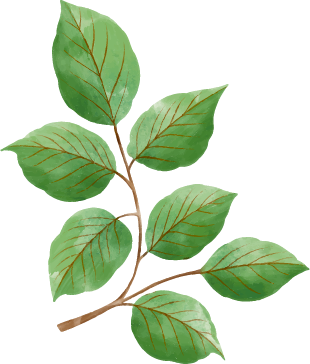 Decoratief blad