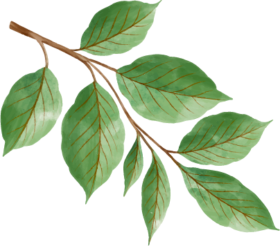 Decoratief blad - klein